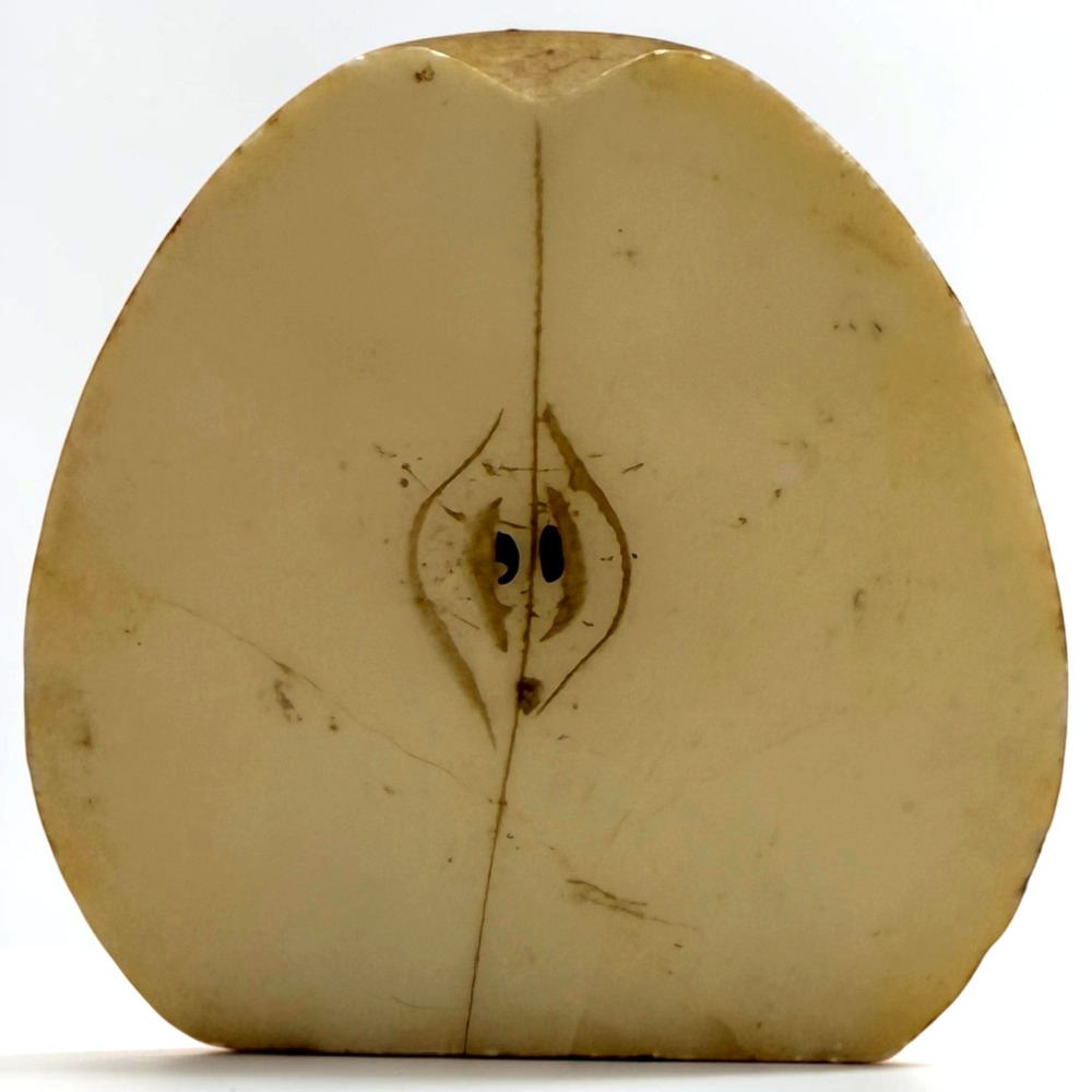 Alabaster Stone Fruit Half Apple with Seeds Sliced Marble Realistic Natural Gala